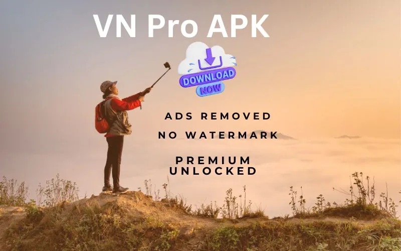 VN MOD APK Pro Unlocked