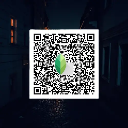 Night dark QR code